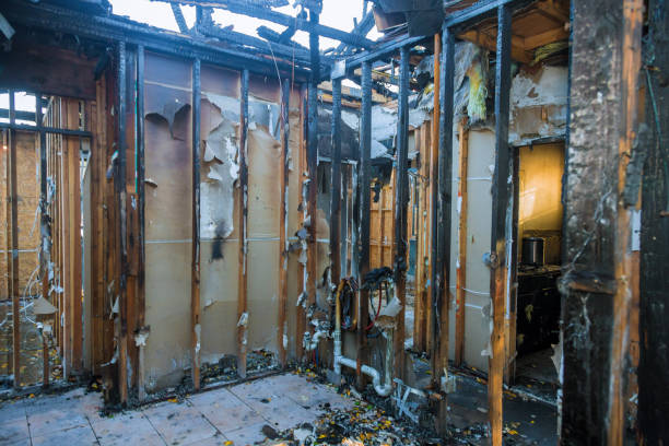 Professional Soot Removal technician working in Milltown, WI